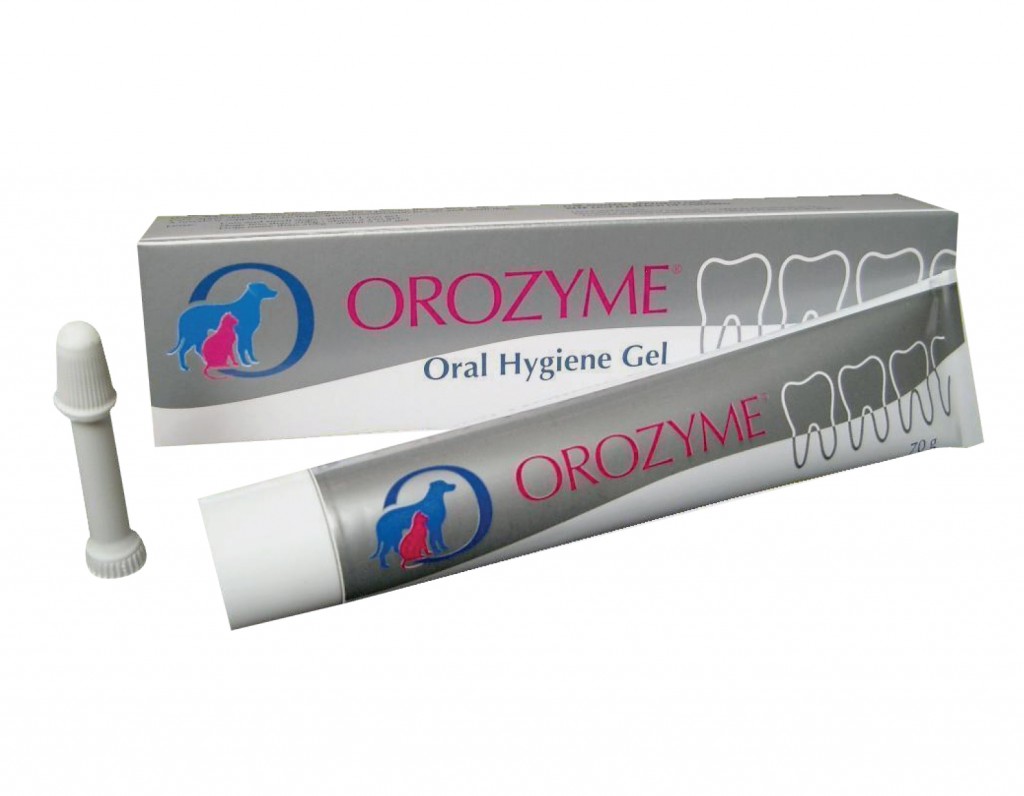 Ecuphar van Orozyme, werkt dit echt? - Hond stinkt uit zijn bek? | 10 ...